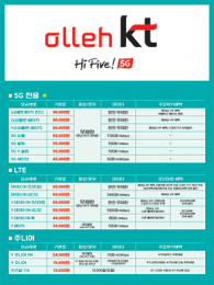 요금제표-101