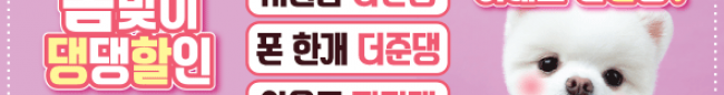 가판대-1585