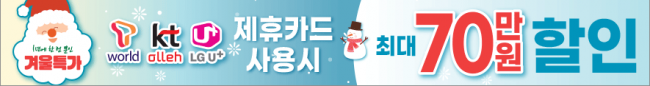 가로형-1921