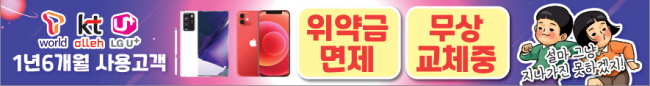 가로형-2006