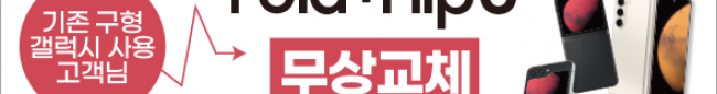 가판대-3379