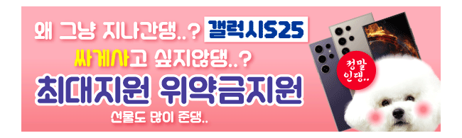 가판대-3616