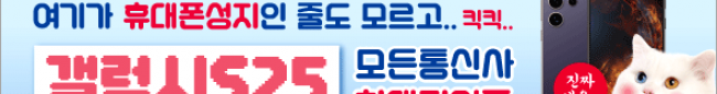 가판대-3617